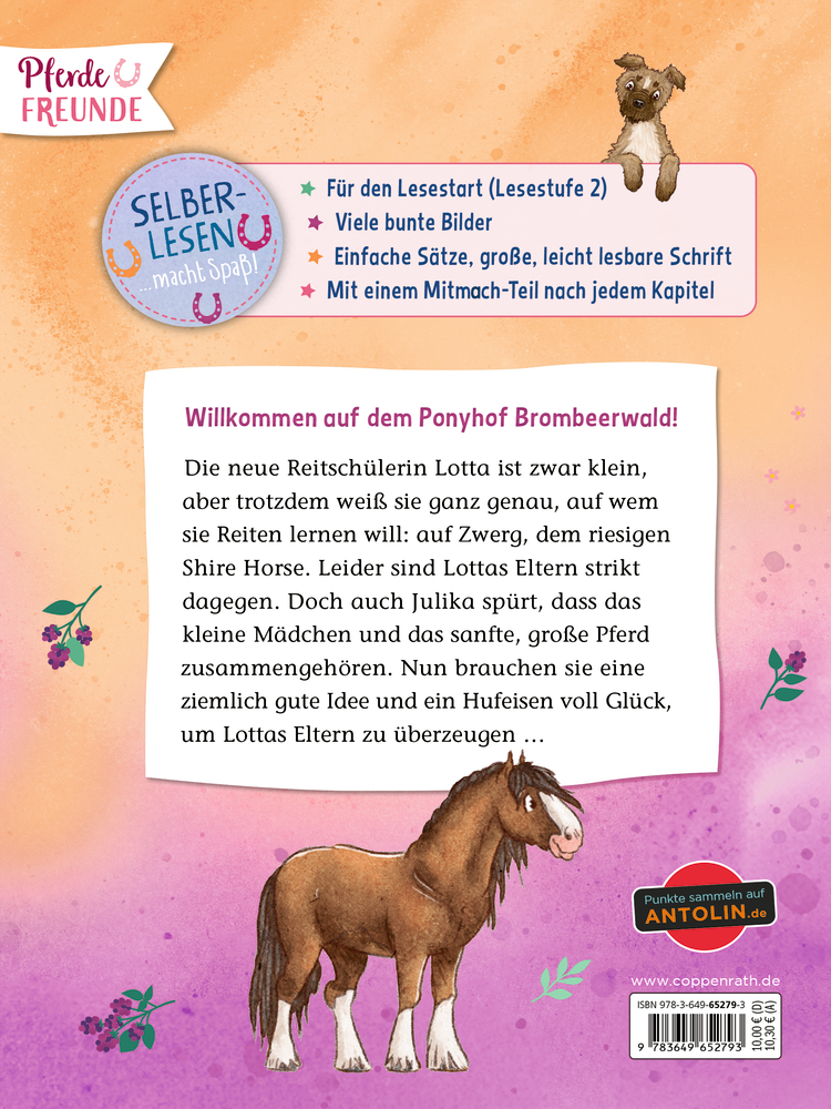 Rückseite eines Kinderbuchs mit Text, braunem Pony, gezeichnetem Hund und Infos zur Lesestufe in bunten Kästchen.