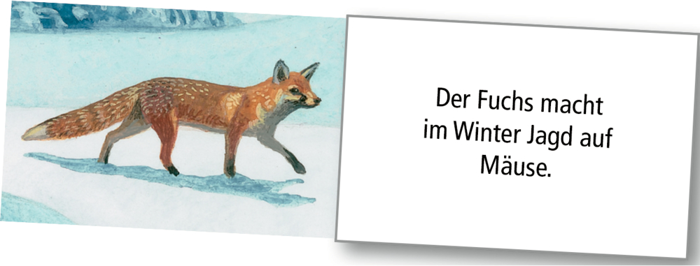 Wintertiere bei Nacht, Wand-Adventskalender