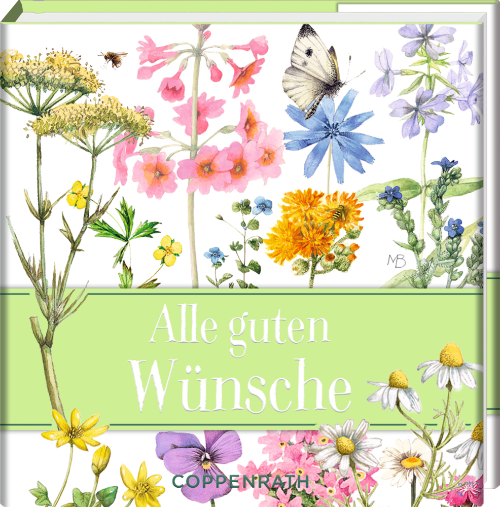 Illustrierter Einband mit Wildblumen, einer Biene, einem Schmetterling und dem Titel: Alle guten Wünsche.