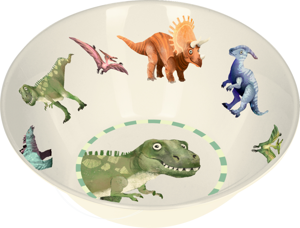 Weiße Schüssel mit bunten Dinosauriern wie T. Rex, Triceratops und Pterodaktylus.
