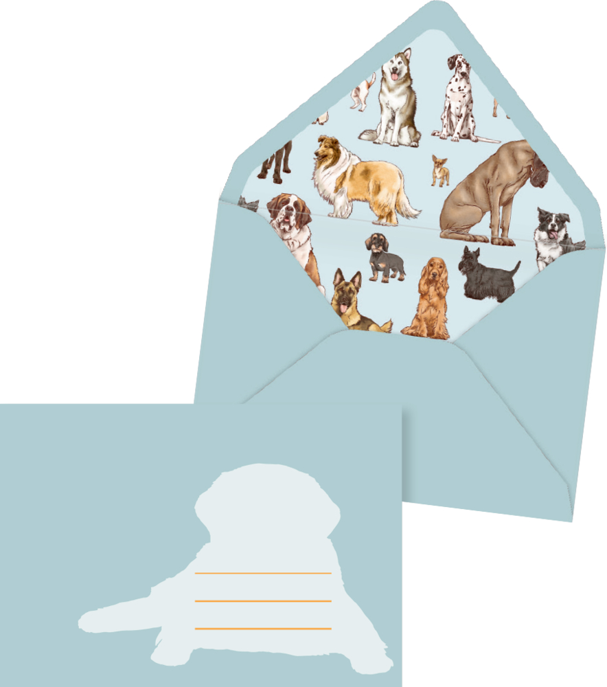 Hellblauer Umschlag mit Hundeillustrationen innen und mit Hundesilhouette und Linienfeld außen.