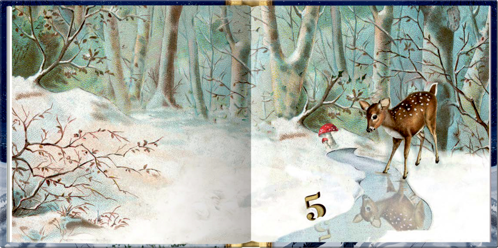 Raunächte und Winterzauber, Das kleine Adventsglück - Adventskalenderbuch (Behr)