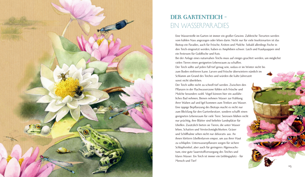 Illustrierte Gartenteichszene auf einer Doppelseite, Frösche, Insekten, Fische, Seerosenblätter, Blumen mit begleitendem  Beschreibungstext werden abgebildet.