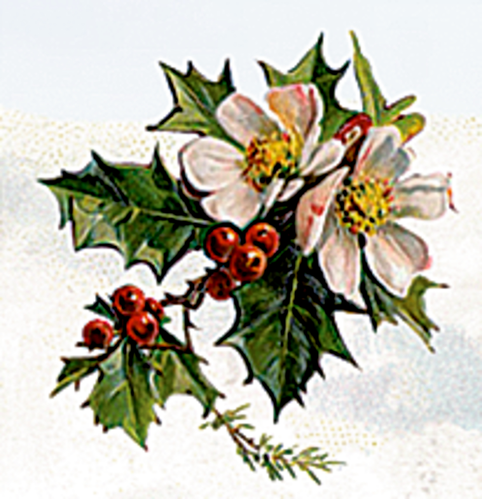 Kleiner Weihnachtskranz mit Reh, A3 Wand-Adventskalender (B.Behr)