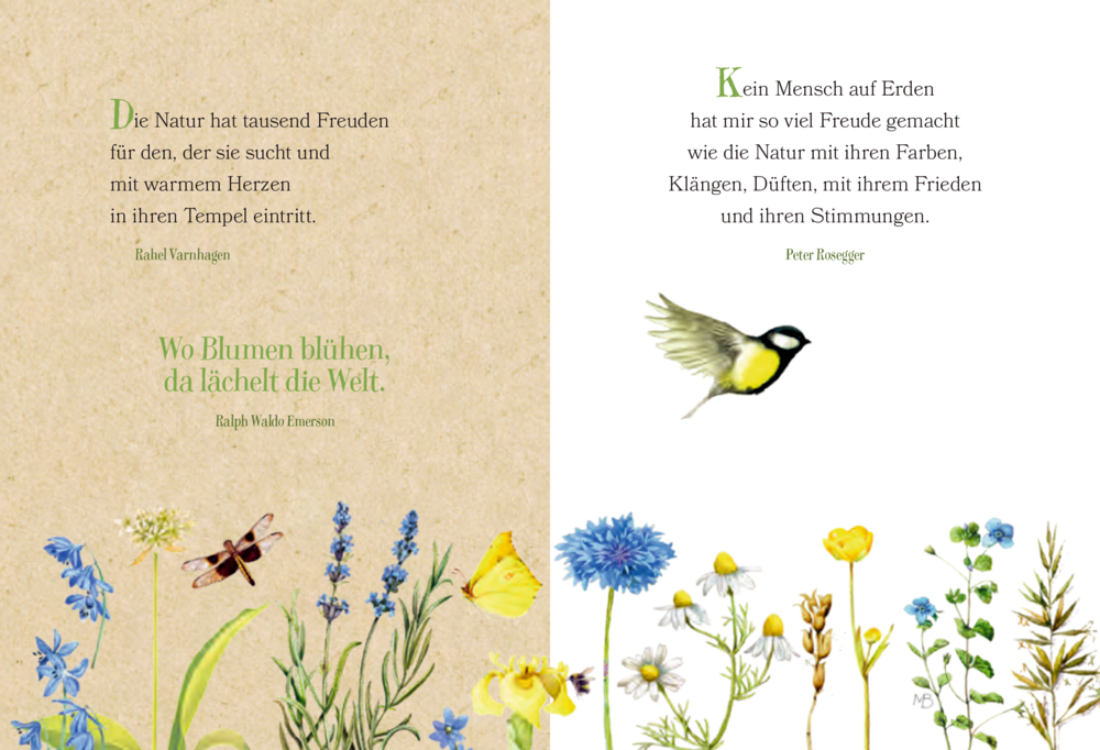 Zwei Seiten zum Thema Natur mit Zitaten, Wildblumen, einer Libelle und einem Vogel im Aquarellstil.