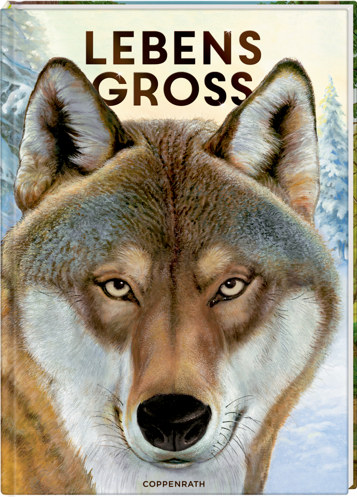 Nahaufnahme eines Wolfsgesichts mit „LEBENS GROSS“ darüber; verschneiter Wald im Hintergrund.