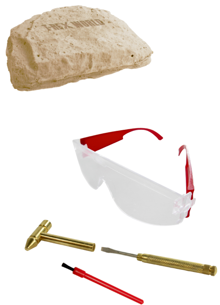 Fossilien-Ausgrabungsset für Kinder mit Tonblock, Schutzbrille, Hammer, Pinsel und Schraubendreher.