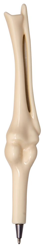 Kugelschreiber mit cremefarbenem Gehäuse in der Form eines menschlichen Knochens.