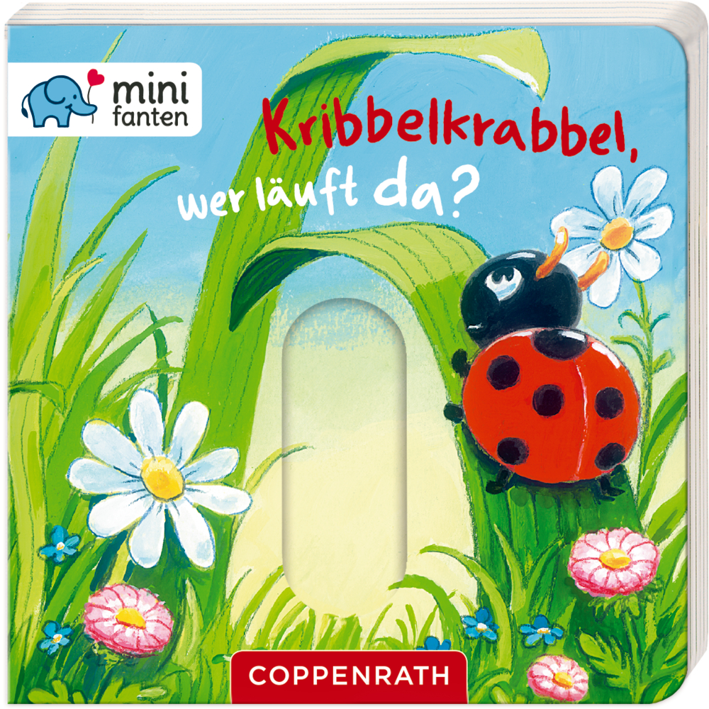 Auf dem Cover eines bunten Kinderbuchs krabbelt ein Marienkäfer auf Gras mit Gänseblümchen unter blauem Himmel.