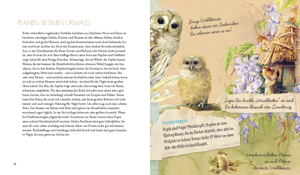 Links: Buchseite mit Text, auf der rechten Seite sind Eulen, ein Nest und Blumen in Aquarell dargestellt.