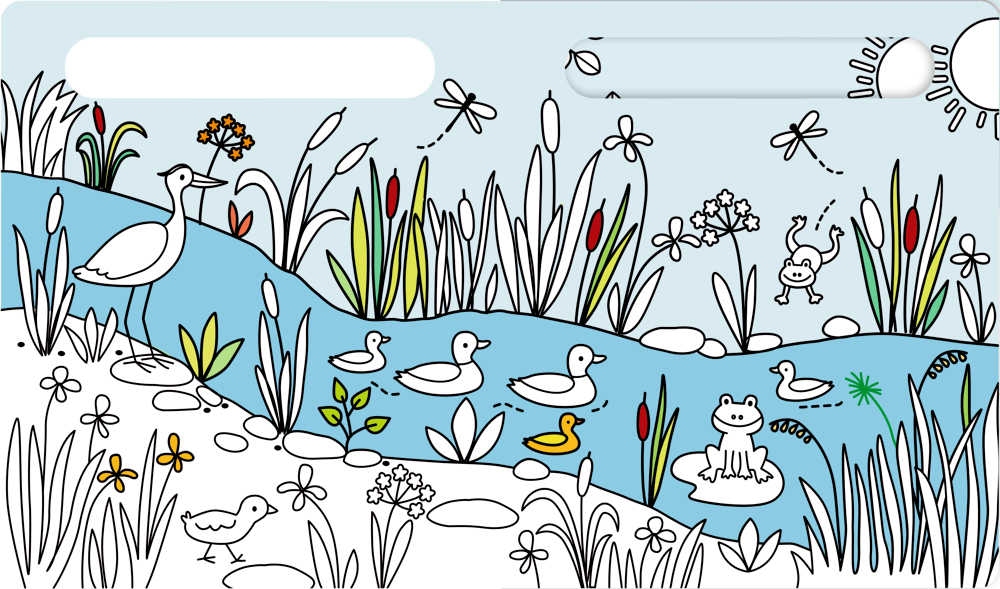 Teich, Enten, ein Reiher, Frosch auf Seerose, Libellen, Blumen und hohe Gräser.