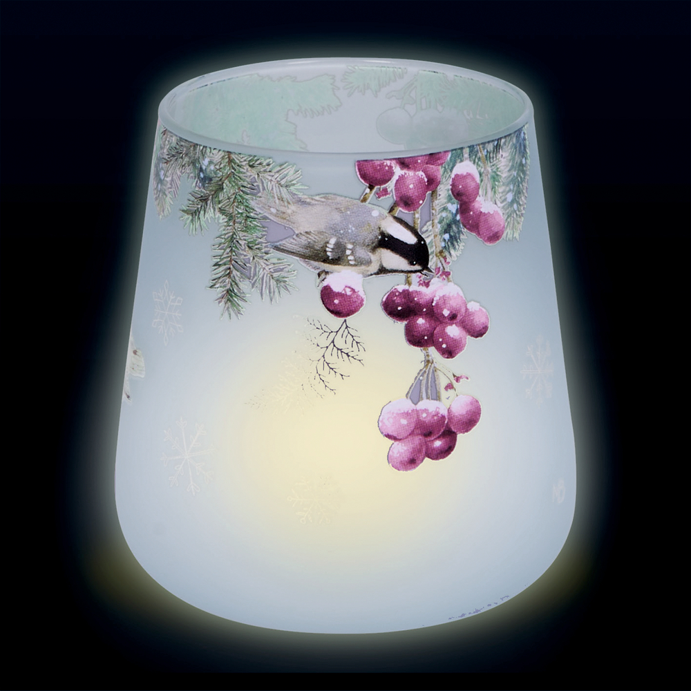 Hellblaues Windlicht mit Motiv aus Vogel, Tannenzweigen und roten Beeren, im Inneren gelblich leuchtend.