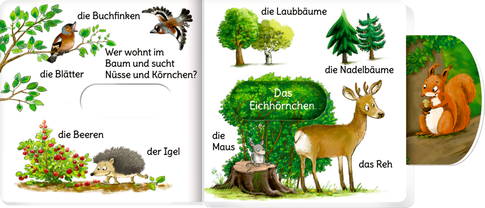 Ein Fink, ein Igel, eine Maus, ein Reh, ein Eichhörnchen, Beeren, Bäume und Blätter sind illustriert.