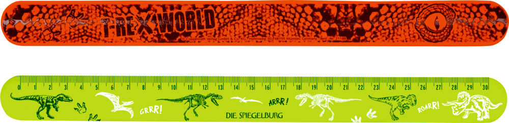 Zwei Dinosaurier-Lineale in Hellgrün und Orange mit Dino-Motiven.