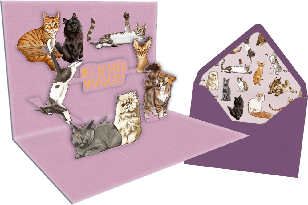 Rosa Klappkarte mit Katzenillustrationen und gelbem Text „Die besten Wünsche“, daneben passender lilafarbener Umschlag mit Katzenmotiv.