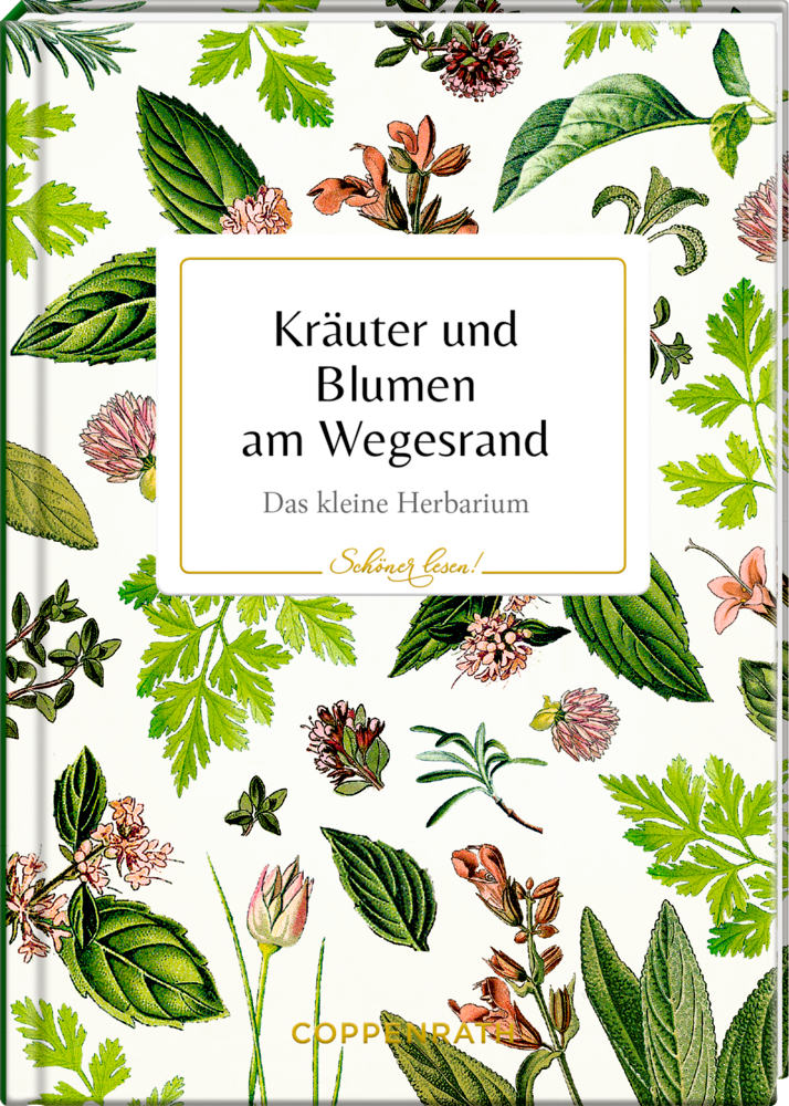 Buchcover mit illustrierten Kräutern und Wildblumen, mit Titel "Kräuter und Blumen am Wegesrand".