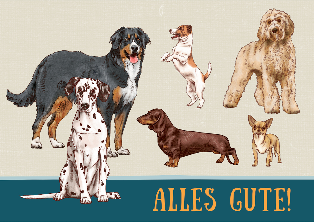 Illustration von sechs Hunden verschiedener Rassen vor beigem Hintergrund mit dem Text „ALLES GUTE!“.