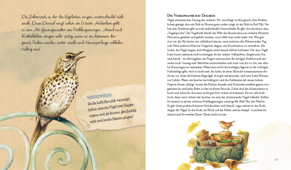 Auf einem Zaun sitzender Vogel mit Text sowie ein weiteres Bild eines Vogels auf alten Blumentöpfen sitzend.