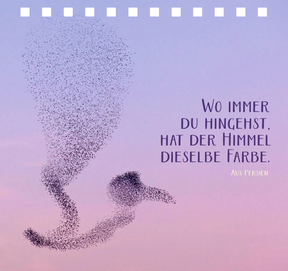 Schwarm schwarzer Vögel am Himmel bei Sonnenuntergang, daneben Text „Wo immer du hingehst, hat der Himmel dieselbe Farbe. Aus Persien.“