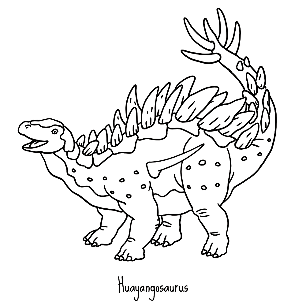 Strichzeichnung eines Huayangosaurus mit Platten und Stacheln auf Rücken und Schwanz.