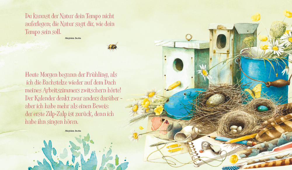 Illustration von Vogelhäusern, Schreibzeug, Blumen und Text zu Natur, Frühling und Vogelbeobachtung.