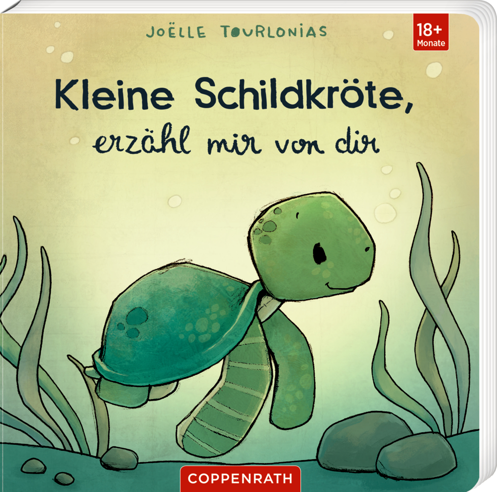 Buchcover mit gezeichneter grüner Schildkröte unter Wasser zwischen Pflanzen und Steinen, Titel „Kleine Schildkröte, erzähl mir von dir“.