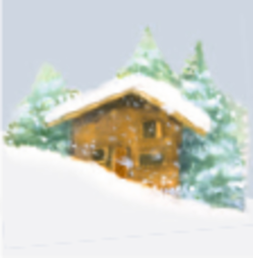 Marjoleins Wintergrüße (Pop-up), Mini-Adventskalender (Bastin)