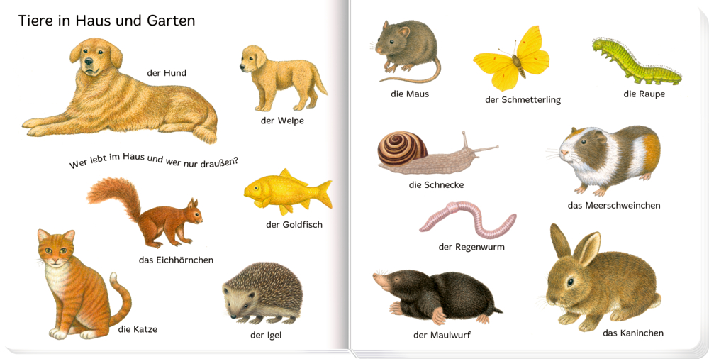 Tierillustrationen (Hund, Katze, Fisch, Maus, Schmetterling, Schnecke) mit Beschriftungen.