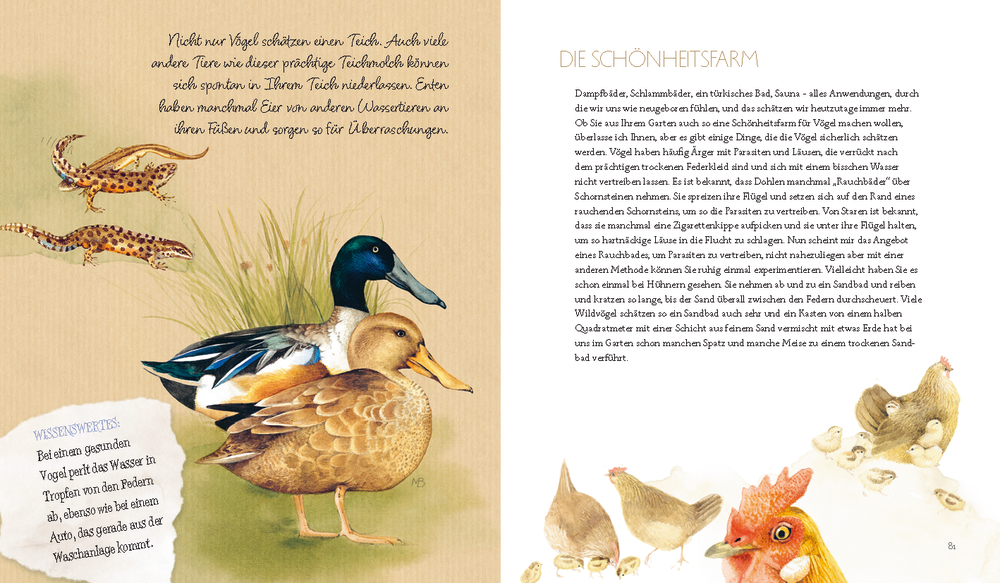 Illustrierte Enten und Hühner mit Text auf cremefarbenem Hintergrund.