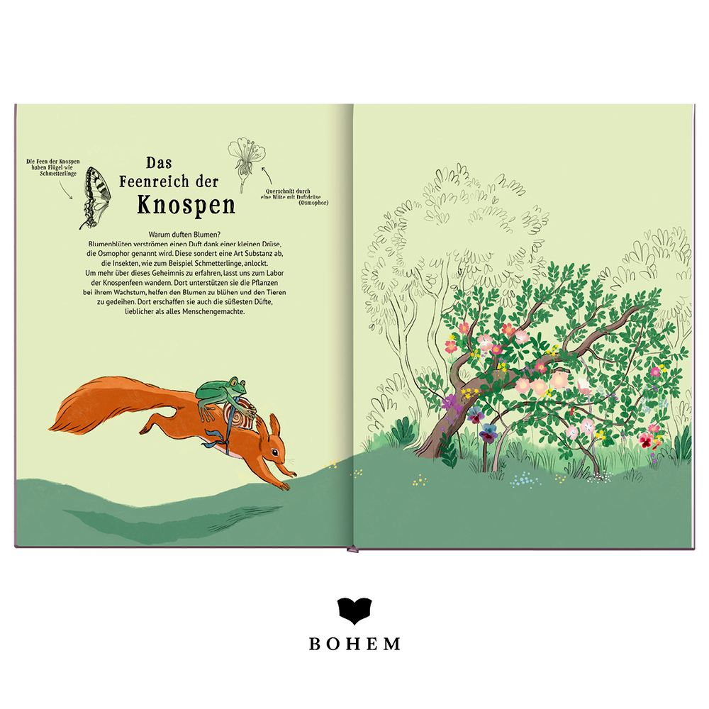 links Text, rechts ein Eichhörnchen mit Frosch auf dem Rücken, das auf einen blühenden Busch zurennt.