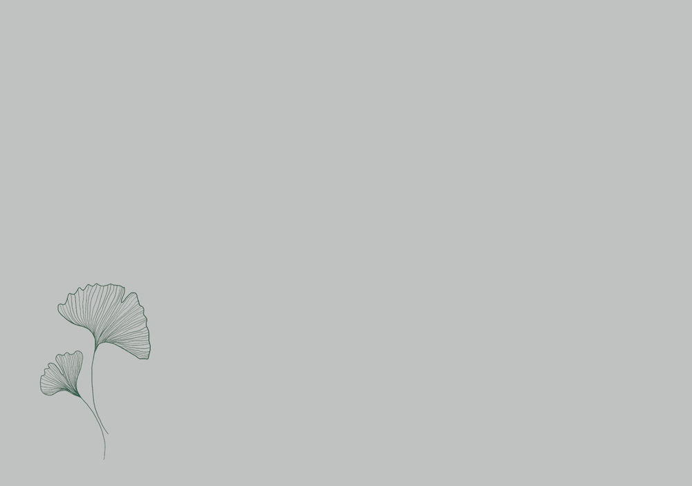Briefumschlag: Hellgrauer minimalistischer Hintergrund mit zwei zarten grünen Ginkgoblättern in der unteren linken Ecke.