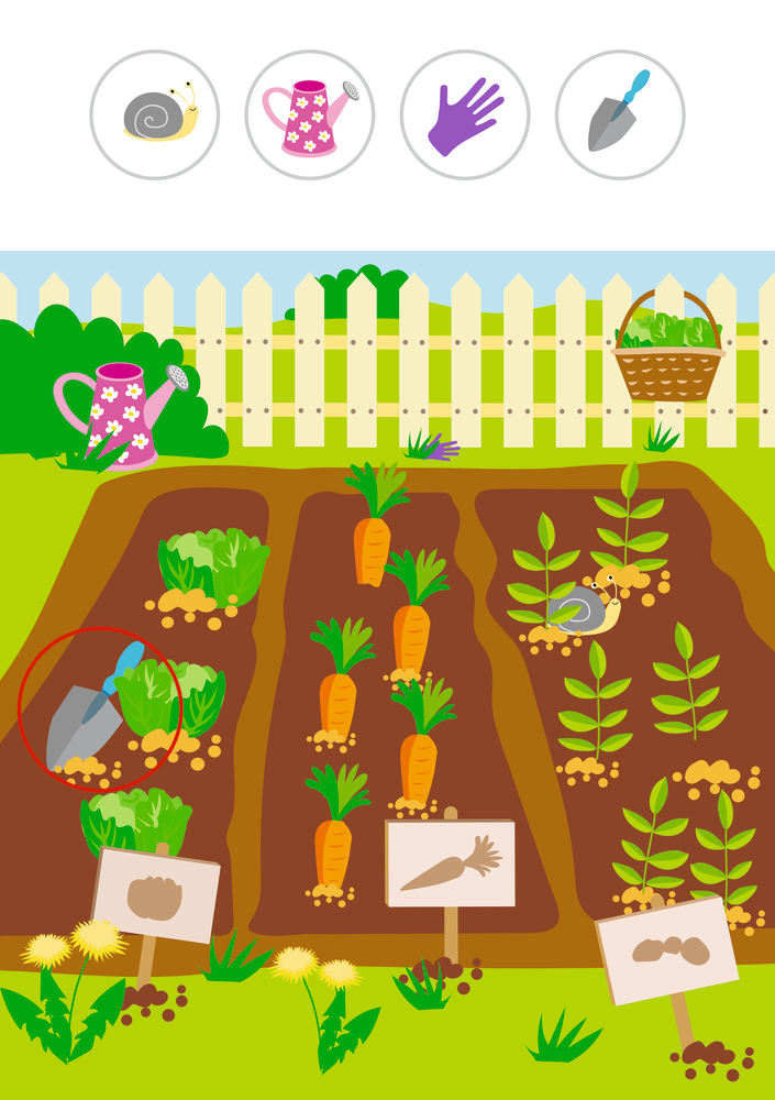 Gemüsegarten mit Karotten, Salat,  Werkzeugen, Gießkanne und Korb vor weißem Lattenzaun.