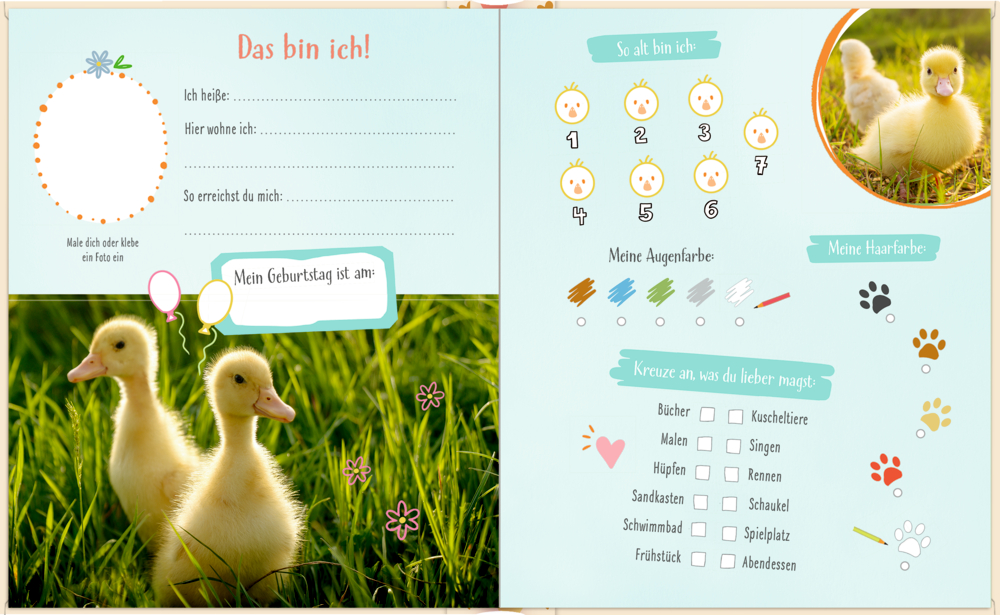 Freundebuchseite: Entenküken, Bereiche zum Ausfüllen und Ankreuzkästchen für „Gefällt mir“, Haarfarbe und Augenfarbe.