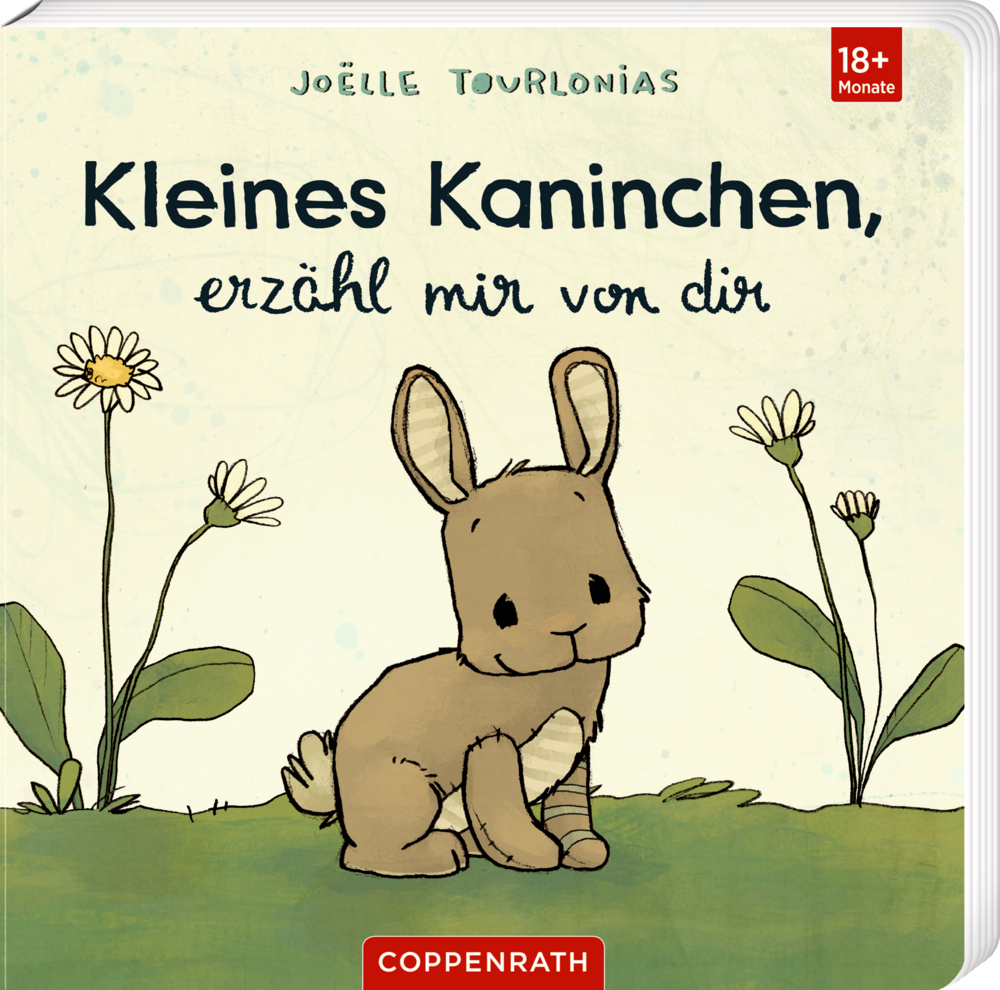 Auf einem Cover von "Kleines Kaninchen, erzähl mir von dir", sitzt ein braunes Häschen im Gras mit Blumen.
