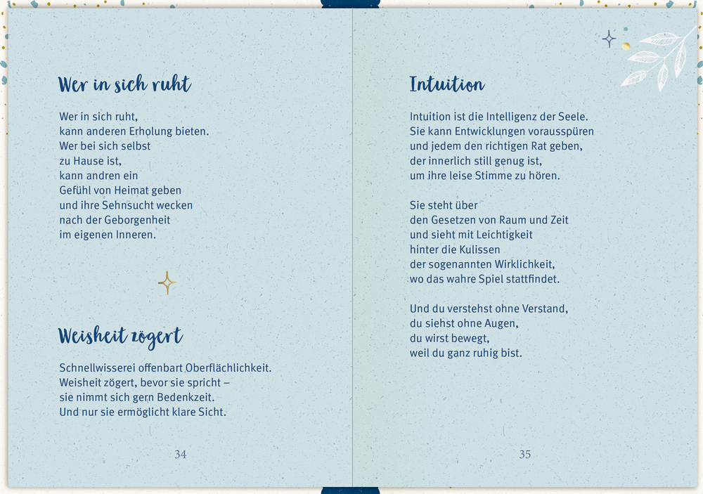 Aufgeschlagenes Buch mit hellblauem Hintergrund mit kleinen Sternen und Blättern als Dekoration.