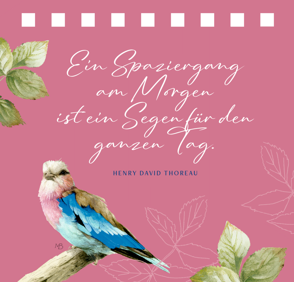 Illustration eines bunten Vogels auf einem Ast vor rosa Hintergrund mit Blättern und einem Zitat in weißer Schrift.