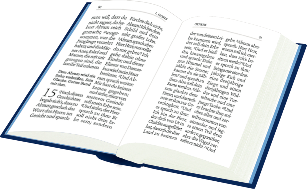 Ein offenes blaues Hardcover-Buch mit Text auf beiden Seiten.