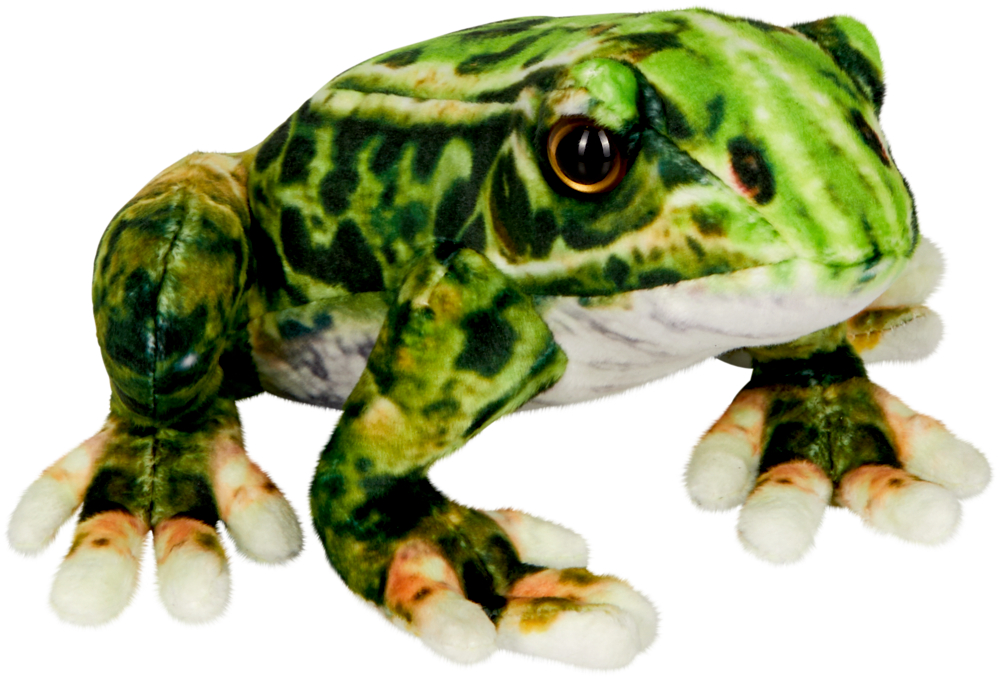 Plüschfroschspielzeug mit grünen und schwarzen Flecken, großen Augen und weißen Zehenspitzen auf weißem Hintergrund.