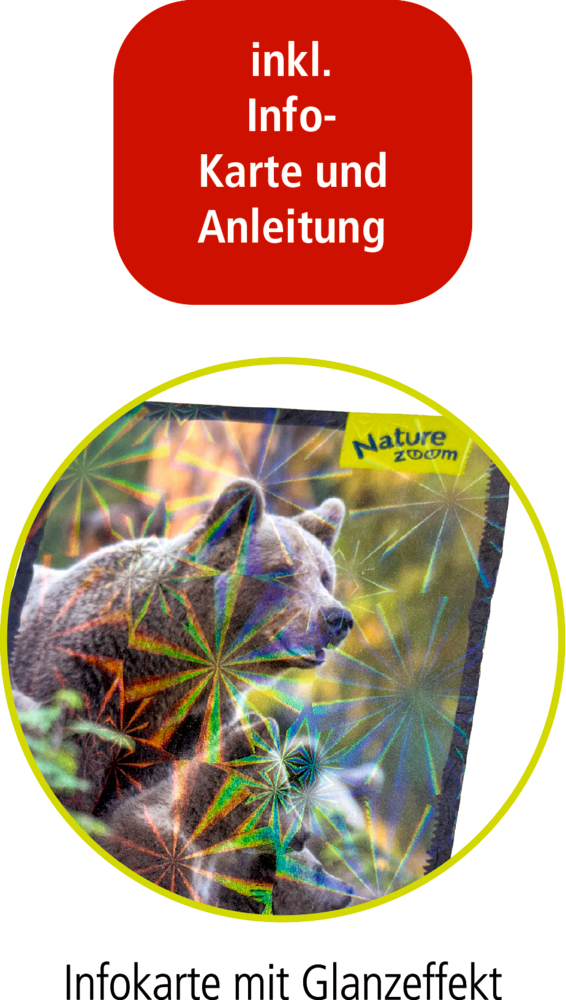 Runder Ausschnitt einer Infokarte mit Bärenmotiv und holografischem Glanzeffekt, oben rotes Textfeld „inkl. Info-Karte und Anleitung“.
