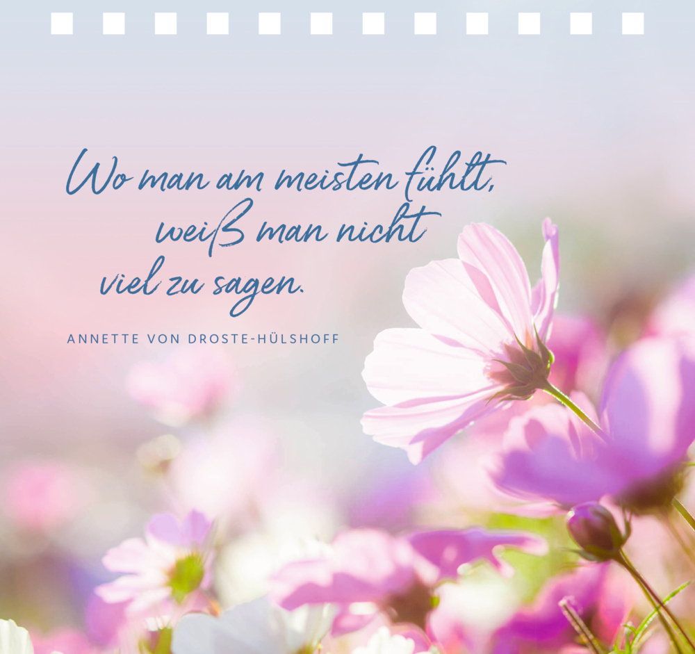 Rosa-weiße Blumen im Sonnenlicht, links ein Zitat in blauer Schrift auf einer Seite.