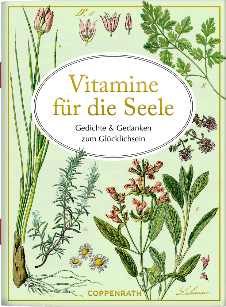 Buchcover mit botanischen Illustrationen und dem Titel „Vitamine für die Seele“ in einem gelben ovalen Rahmen.