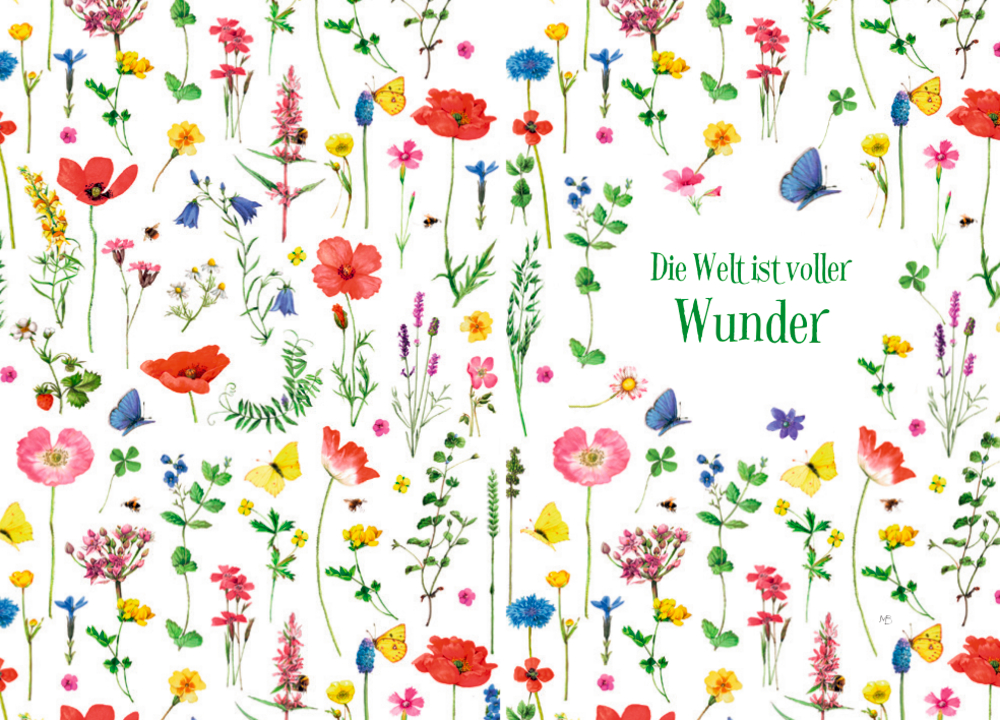 Bunte Wildblumen und Schmetterlinge umgeben den Text: â€žDie Welt ist voller Wunderâ€œ auf auf einer weißen Doppelseite.