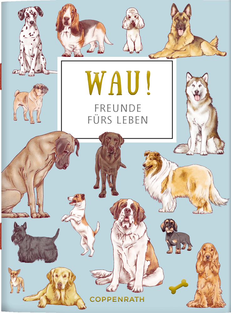 Illustration von Hunderassen auf blauem Hintergrund.