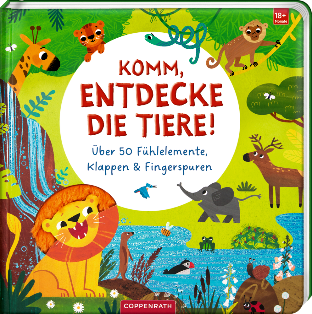 Buchcover mit gezeichneten Tieren, Bäumen, Wasserfall und dem Titel Komm, entdecke die Tiere!.