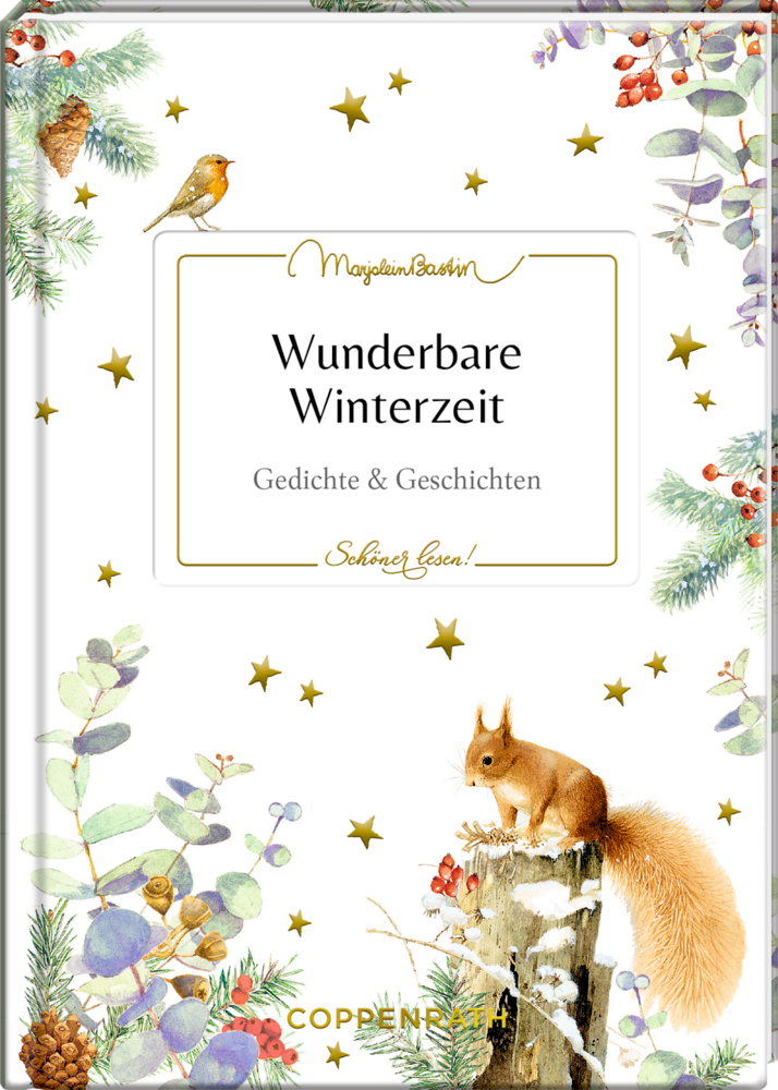 Buchcover: Winterpflanzen, Rotkehlchen, Eichhörnchen, goldene Sterne; Titel: „Wunderbare Winterzeit“.