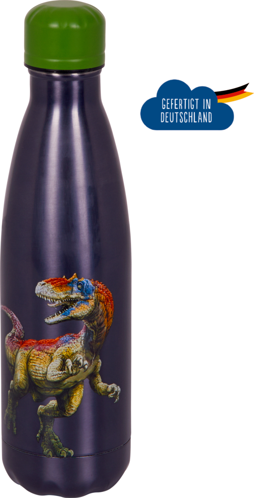 Dunkle Wasserflasche aus Edelstahl mit grünem Deckel und einer farbenfrohen Dinosaurierillustration auf der Vorderseite.