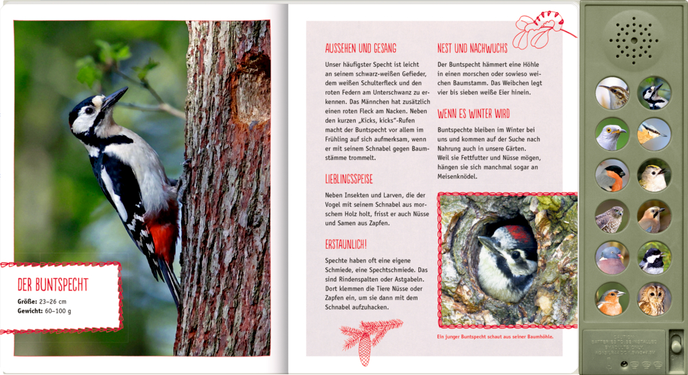 Specht auf Baum, Buchseiten mit Infos und Fotos, seitliche Soundbuttons mit Vogelbildern.