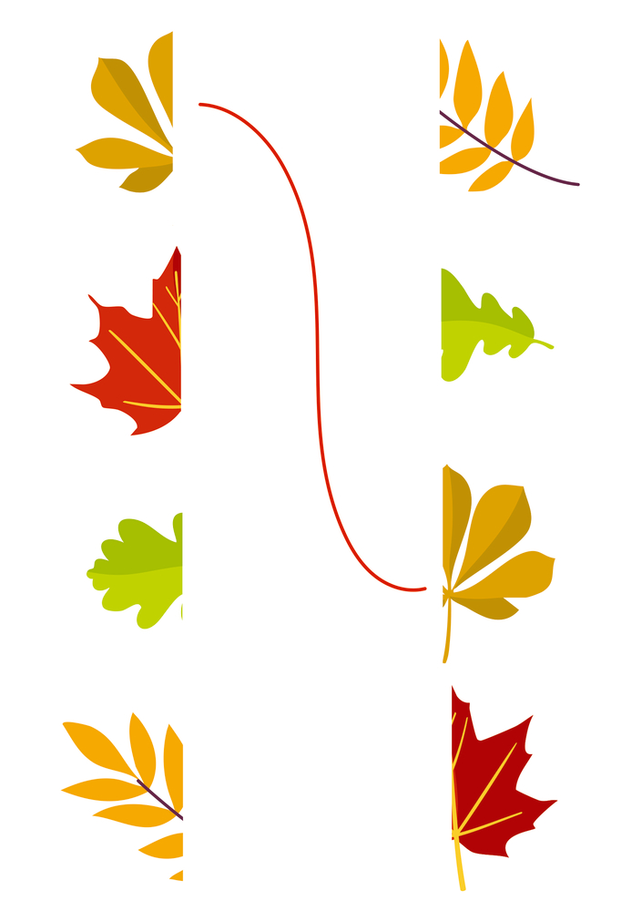 Verschiedene Herbstblätter in Gelb, Rot und Grün mit einer roten geschwungenen Linie auf weißem Hintergrund.