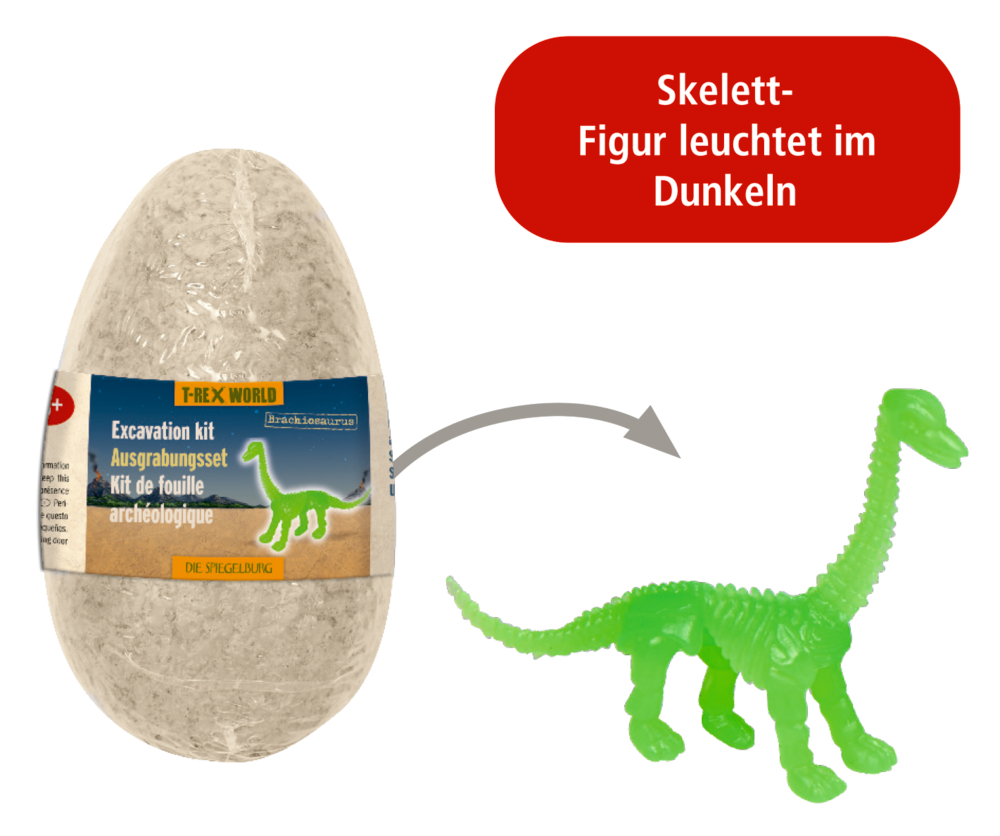 Ei-förmiges Ausgrabungsset mit grauer, strukturierter Oberfläche und grüner Brachiosaurus-Skelettfigur daneben. Hinweistext „Skelett-Figur leuchtet im Dunkeln“.