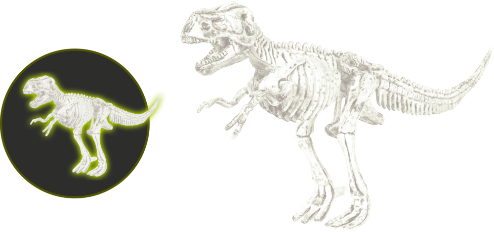Im Dunkeln leuchtendes T-Rex-Skelettspielzeug aus Kunststoff, leuchtend abgebildet und unter normalem Licht.